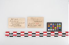 Etikett zu Bronzescheibe (NHMW-PRAE-048360)